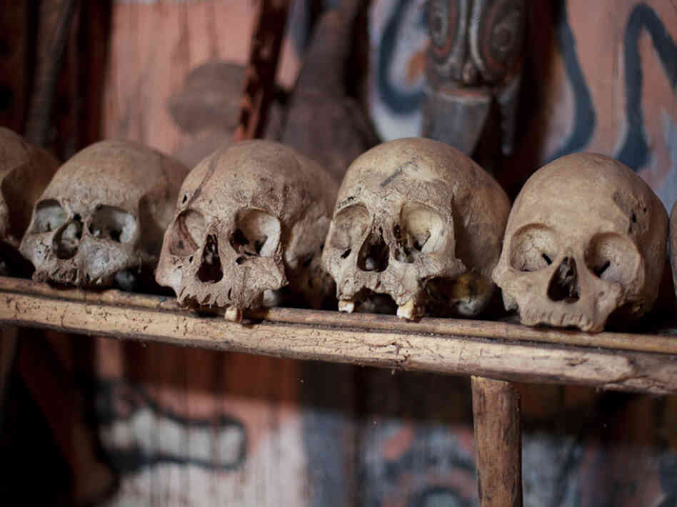Cannibalism was practiced in Papua New Guinea up until the 1930s. These skulls in a ceremonial men's hut represent the old custom.