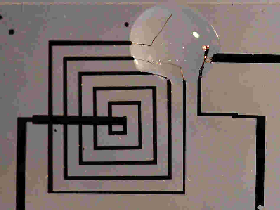 Circuits like this one could be useful in implantable medical devices.