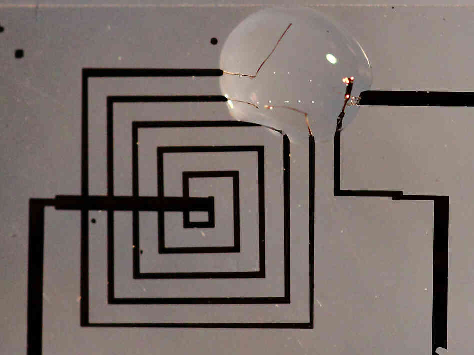 Circuits like this one could be useful in implantable medical devices.