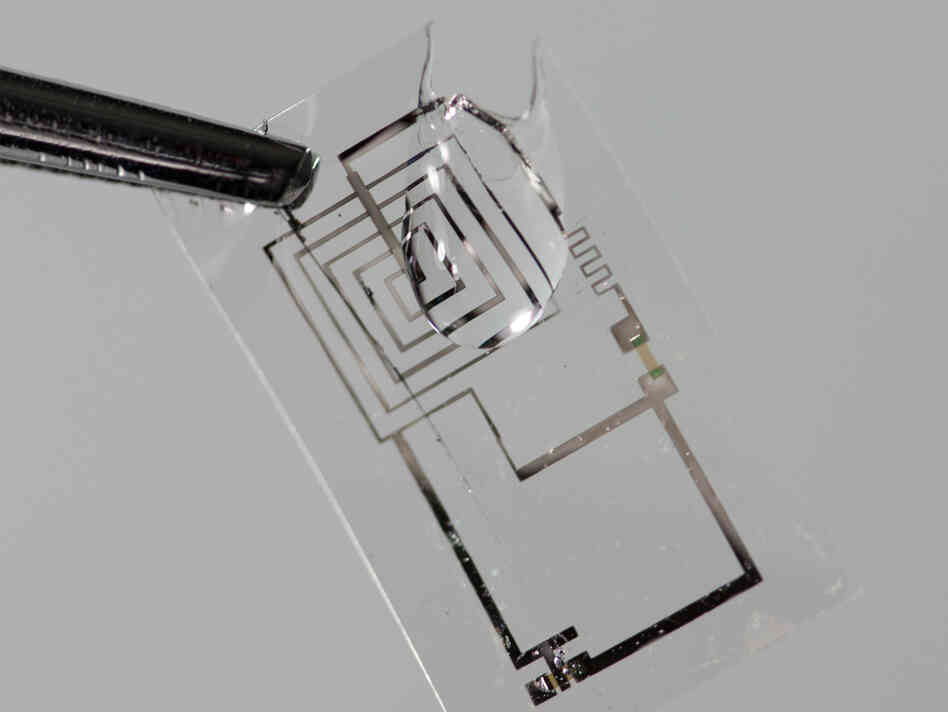 An electronic circuit begins to dissolve.