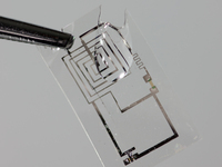 An electronic circuit begins to dissolve.