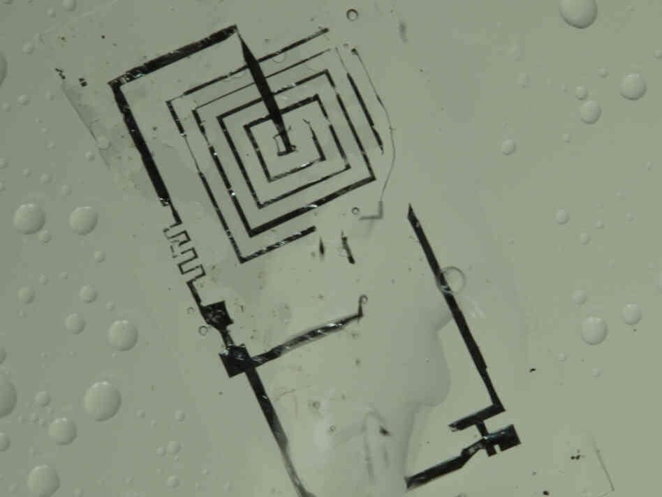 The circuits are made of silicon, magnesium and a special kind of silk, all of which can be designed to dissolve after a fixed period of time.