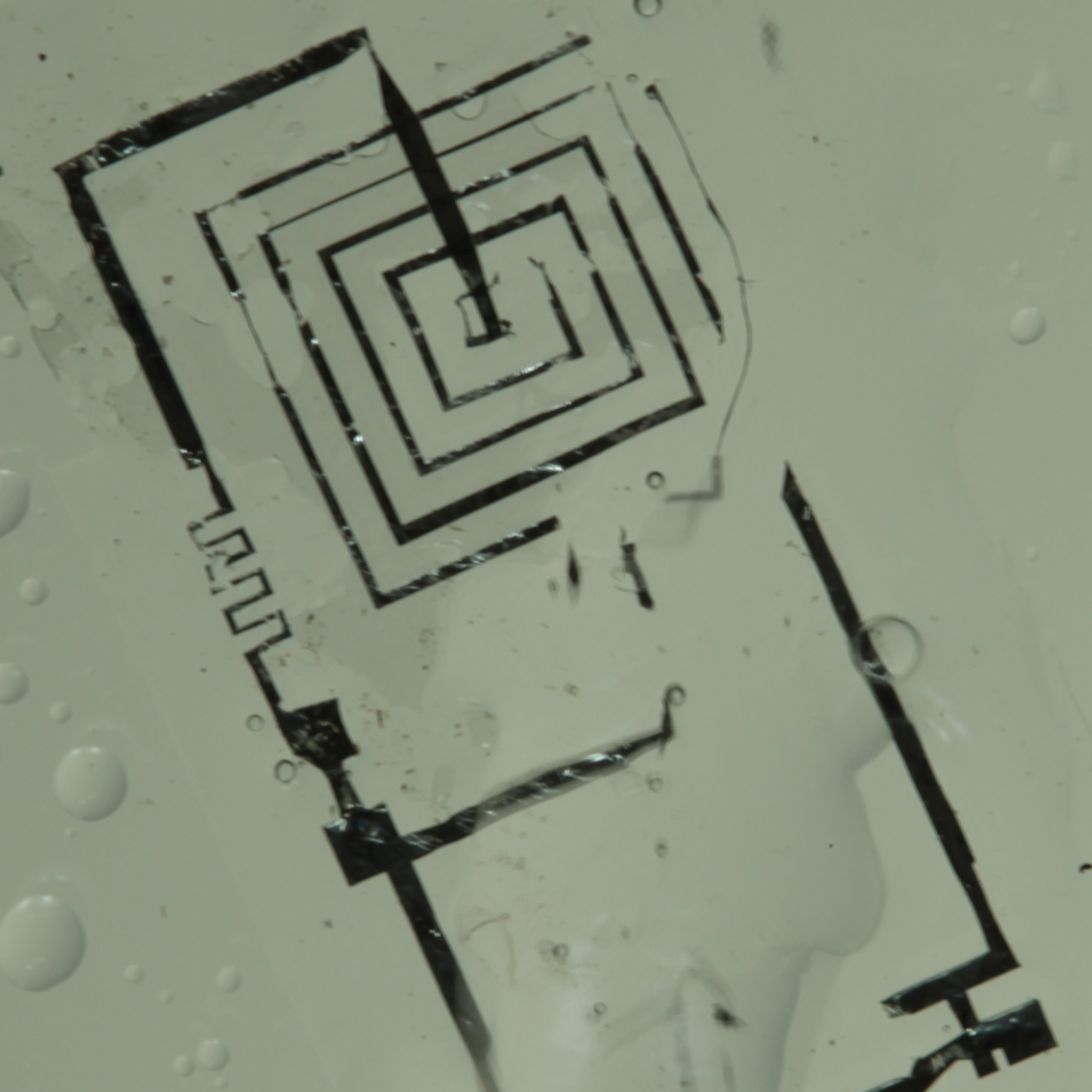 The circuits are made of silicon, magnesium and a special kind of silk, all of which can be designed to dissolve after a fixed period of time.
