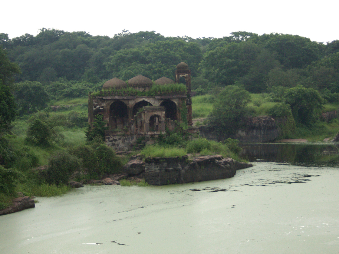 A view of Ranthambore National Park from atop the thousand-year-old fort that bears the same name. The park has been closed to visitors since the Supreme Court's ban on tourists in core areas of the country's 41 tiger reserves. A quarter-million visitors toured the park last year, and local businesses say the economy in the area will collapse if the ban is not lifted.