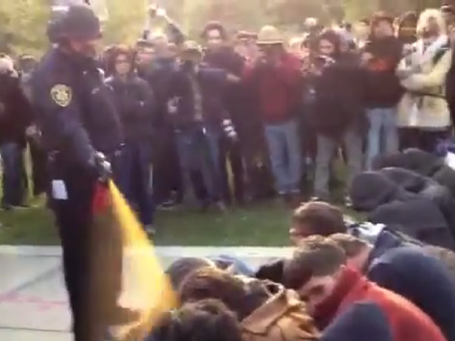 Nov. 18, 2011: Occupy protesters get sprayed at University of California Davis.