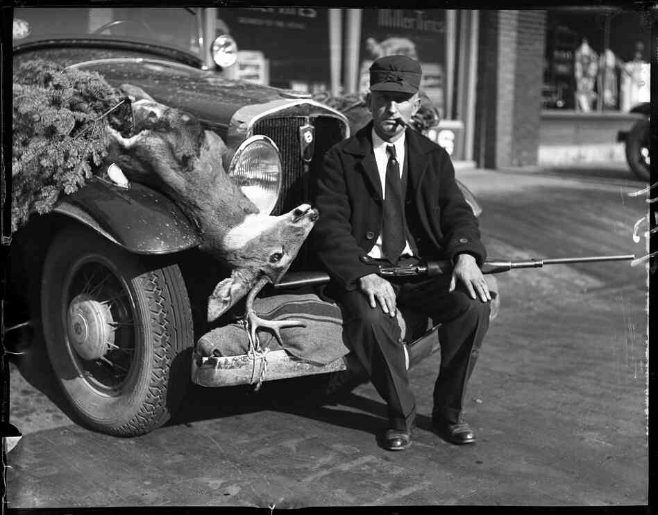 H.G. Buttrick of Springfield returned home from a hunting trip in northern Minnesota with his bounty strapped to the fender of his car. His wife, not in the picture, shot the deer that was strapped to the other side of the car, November 1930.