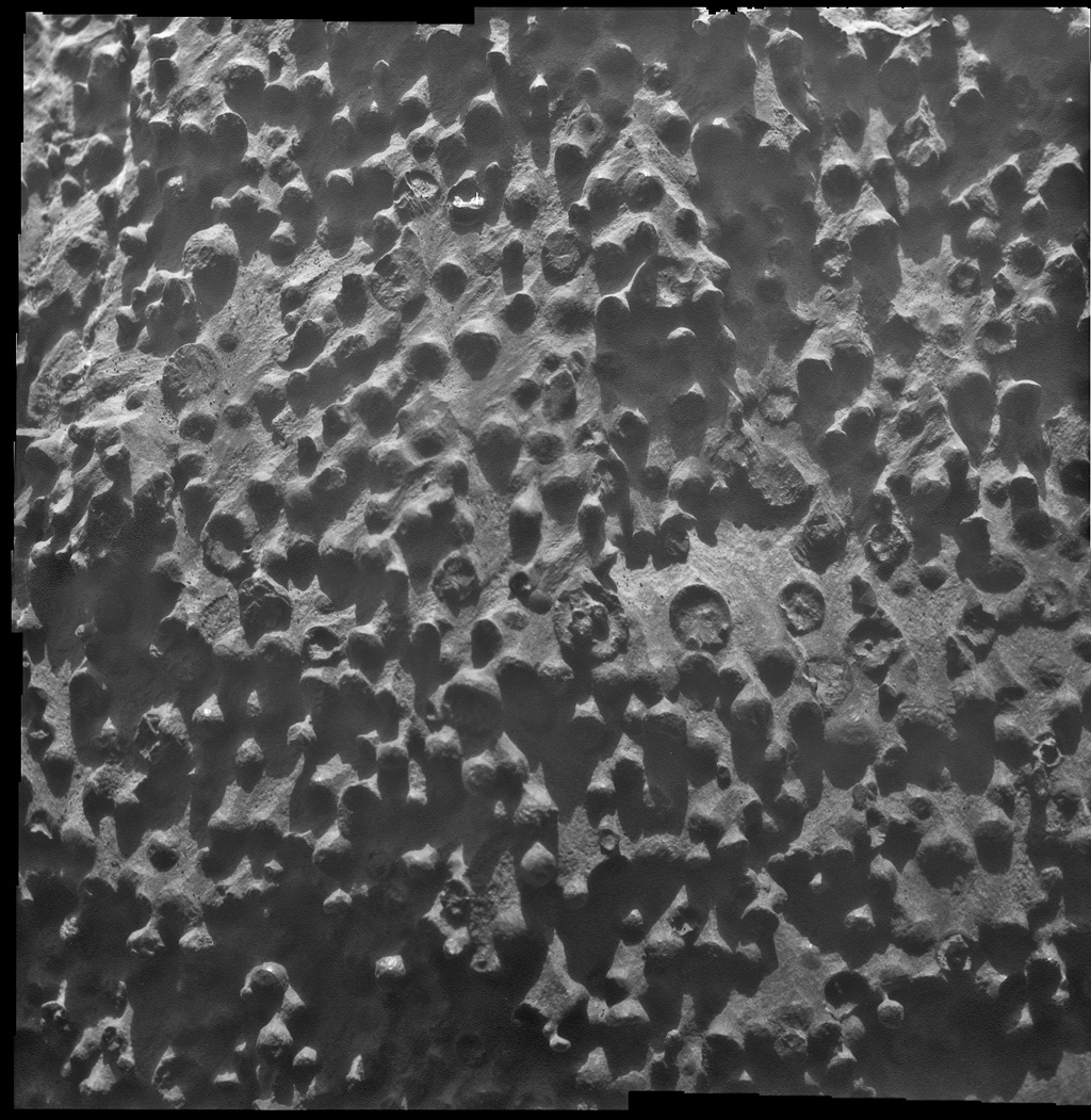 <strong>Opportunity, 2004: </strong>Opportunity discovered tiny mineral spheres — nicknamed blueberries — poking out of rocks that were likely formed by water.  Researchers using Opportunity's science instruments identified them as concretions rich in the mineral hematite, deposited by water saturating the bedrock.