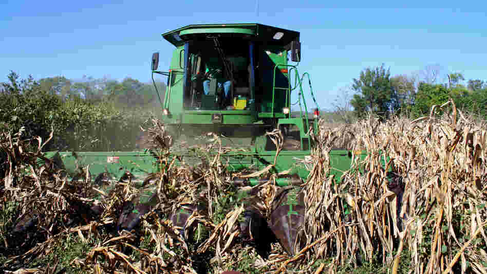 Kansas farmer Luke Ulrich pilots his combine through the last eight rows of this year's ragged crop, which produced far less than half the normal yield. Kansas farmer Luke Ulrich pilots his combine through the last eight rows of this year's ragged crop, which produced far less than half the normal yield.