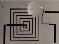 An electronic circuit in its first phases of dissolution.