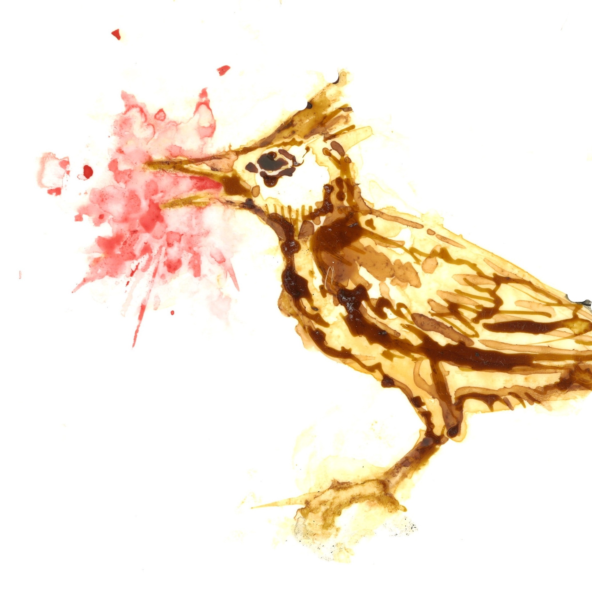 Lark without tongue.