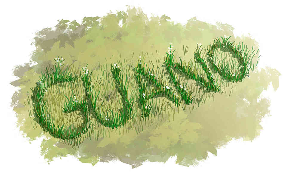 Guano in grass. Guano in grass.