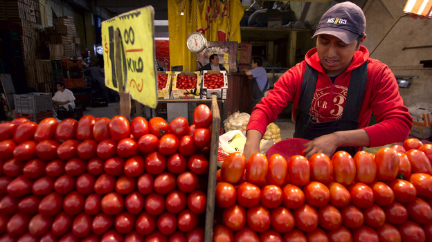 A worker separates tomatoes at a market in Mexico City. The Commerce Department says it might act to end a 16-year-old trade deal governing fresh Mexican tomatoes sold in the U.S.