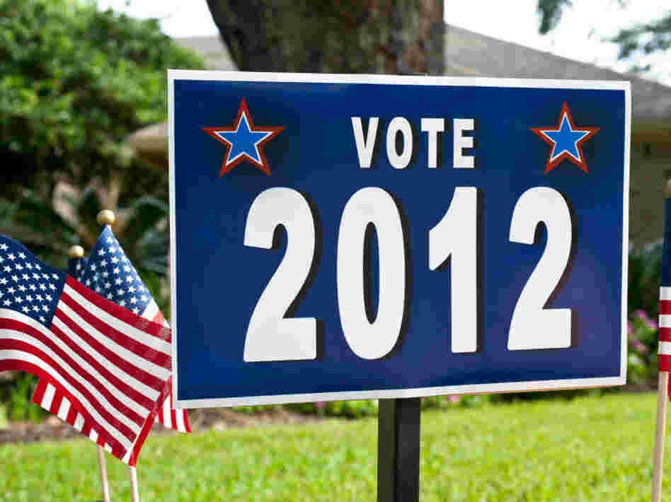 Vote 2012 sign on a front lawn.