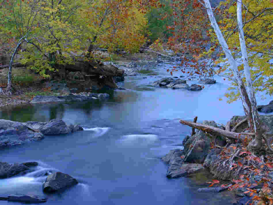 The Potomac River.
