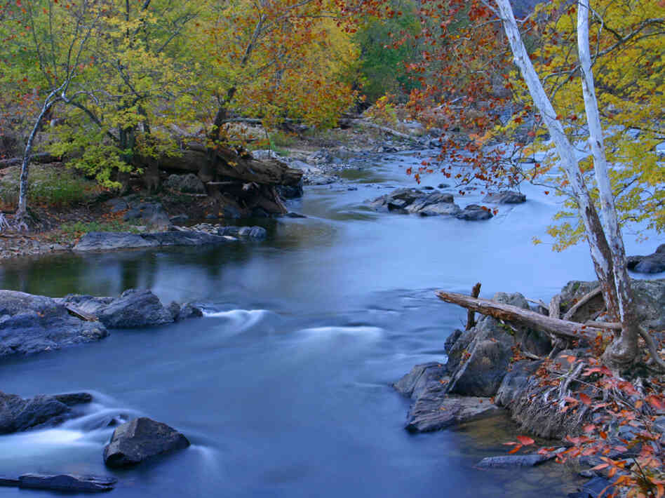 The Potomac River.