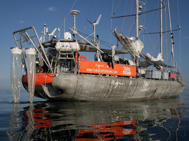 The 118-foot research schooner Tara made an around-the-world expedition over 21/2 years. Scientists aboard discovered up to a million new species of plankton. Now begins the work of determining how climate change might be affecting these microorganisms.