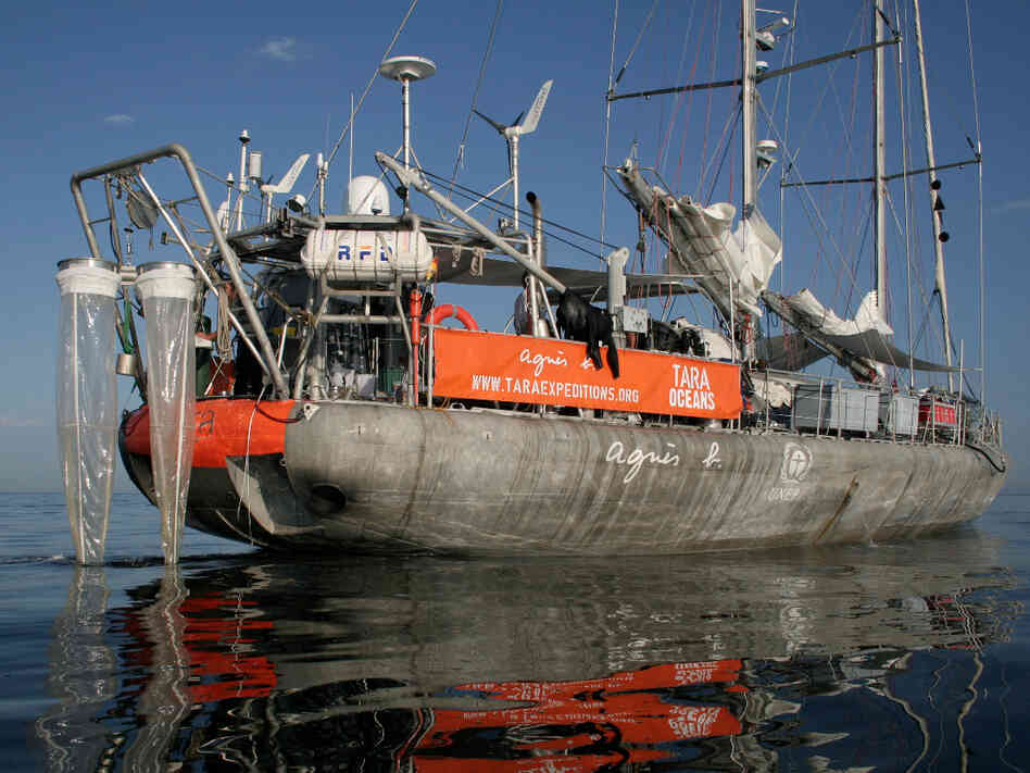 The 118-foot research schooner Tara made an around-the-world expedition over 21/2 years. Scientists aboard discovered up to a million new species of plankton. Now begins the work of determining how climate change might be affecting these microorganisms.