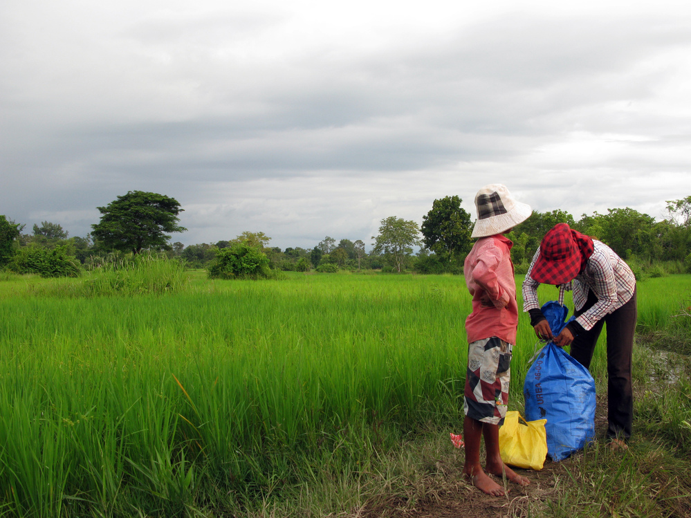 Residents gather their belongings in a paddy field near Pro Ma village in eastern Cambodia's Kratie province. Farmers are being forced to move after their land was granted to a Russian agribusiness.