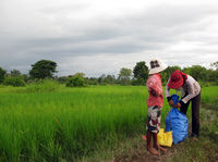 Residents gather their belongings in a paddy field near Pro Ma village in eastern Cambodia's Kratie province. Farmers are being forced to move after their land was granted to a Russian agribusiness.