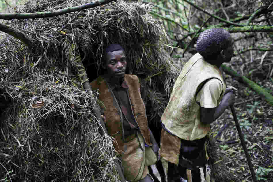 In 1991, the Batwa forest people of Uganda were evicted from their land when two national parks were created to protect the shrinking habitat of the endangered mountain gorilla. A new program is trying to help them earn money and reconnect with their roots.