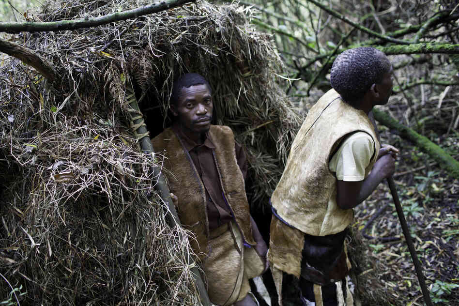 In 1991, the Batwa forest people of Uganda were evicted from their land when two national parks were created to protect the shrinking habitat of the endangered mountain gorilla. A new program is trying to help them earn money and reconnect with their roots.