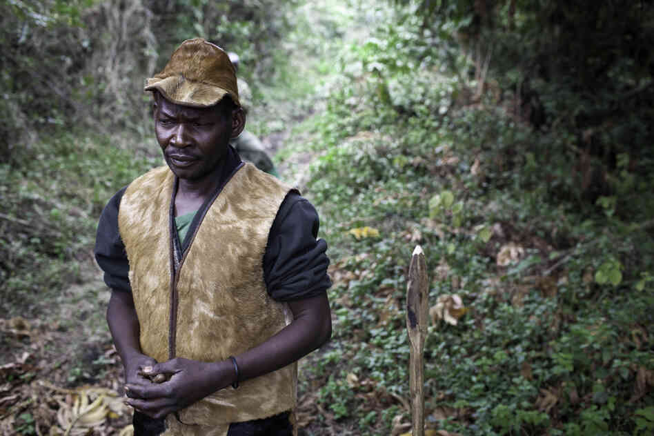 The Mgahinga National Park provides a much-needed refuge for the mountain gorilla. But the creation of the park also drove the Batwa from their land, and has taken away a big part of their identity.