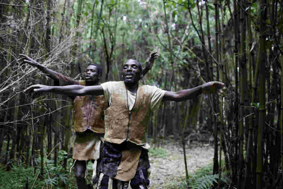 Intimately tied to the mountains and forests, the Batwa used to perform daily dances in honor of their land. Entering their previous home, men perform a welcoming dance.
