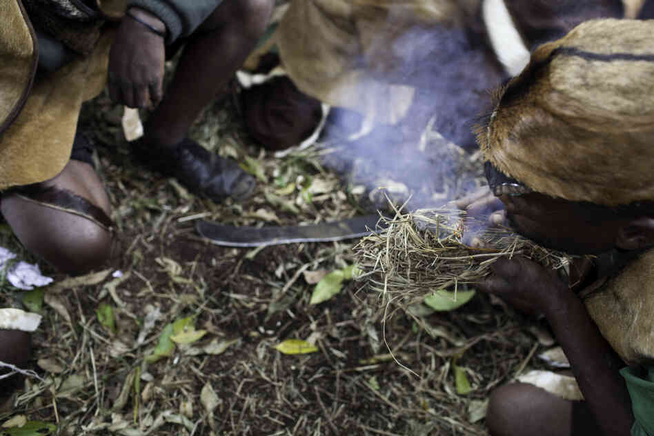 Equipped with two sticks, tinder and a lot of patience, the Batwa make small clumps of smoldering grass to ward off bees and harvest fresh honeycombs. Honey is so valuable that they use it as a bride price.
