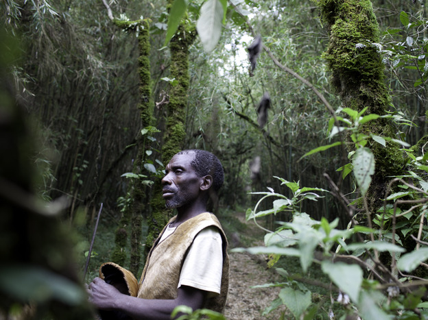The forests in which the Batwa lived are rich with flora and fauna. After the formation of Mgahinga National Park, they were forced out and prohibited from hunting or gathering.