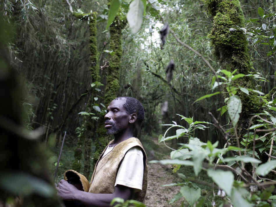 The forests in which the Batwa lived are rich with flora and fauna. After the formation of Mgahinga National Park, they were forced out and prohibited from hunting or gathering.