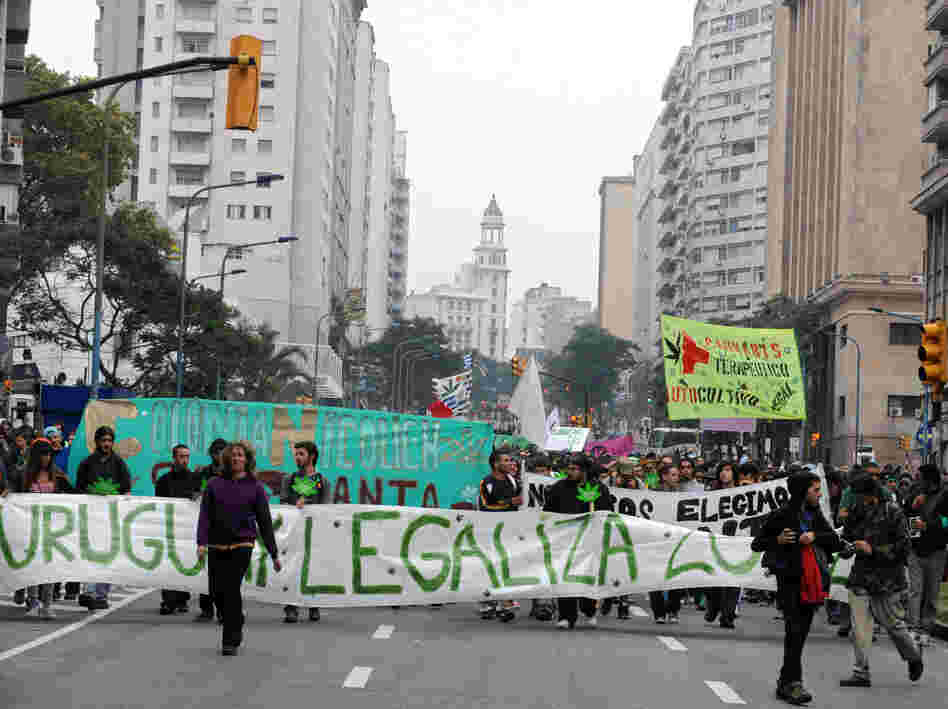 Supporters of legalization of cannabis in Montevideo march toward the Legislative Palace in May as part of the 2012 Global Marijuana March. Supporters of legalization of cannabis in Montevideo march toward the Legislative Palace in May as part of the 2012 Global Marijuana March.