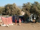 Syrian refugees gather amid olive trees in an area controlled by the rebel Free Syrian Army, in northern Syria near the Turkish border, on Sept. 25. The area has become a way station for Syrian refugees pushed out of neighboring Turkey. Syrian refugees gather amid olive trees in an area controlled by the rebel Free Syrian Army, in northern Syria near the Turkish border, on Sept. 25. The area has become a way station for Syrian refugees pushed out of neighboring Turkey.