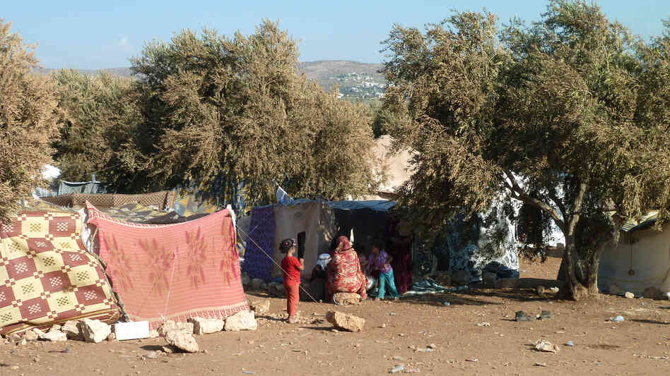 Syrian refugees gather amid olive trees in an area controlled by the rebel Free Syrian Army, in northern Syria near the Turkish border, on Sept. 25. The area has become a way station for Syrian refugees pushed out of neighboring Turkey.