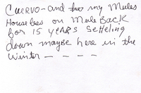 Index card by Cuervo. The text reads: <em>