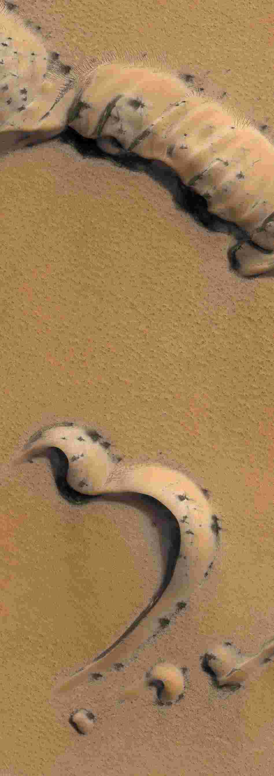 Sand ridges, closer in. Sand ridges, closer in.