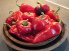 A bowl of sweet red peppers A bowl of sweet red peppers