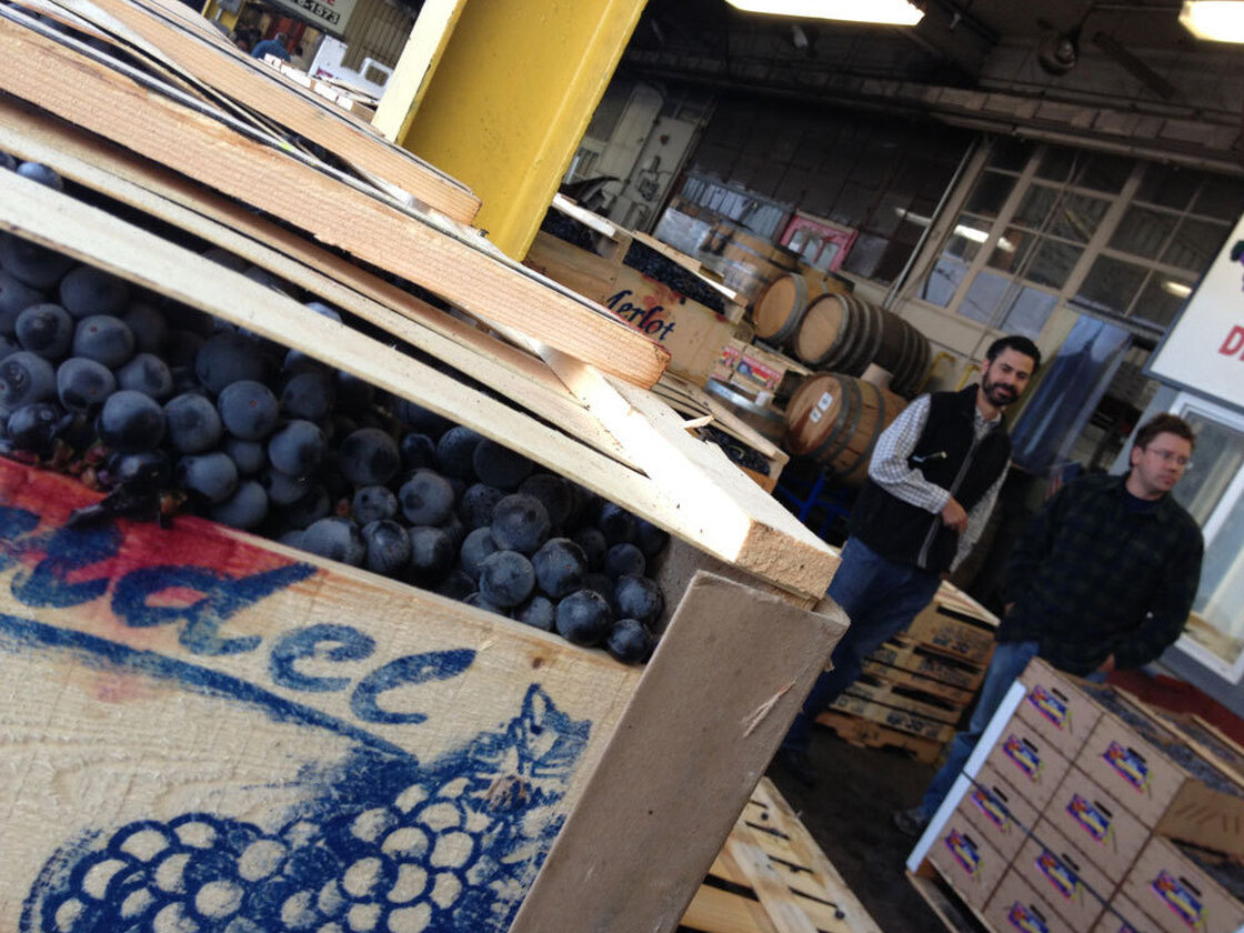 Customers at a Hartford produce market, choosing grapes to turn into homemade wine.