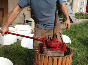 DIY winemaker John Virtue presses the grapes in a Middletown, Conn., backyard.