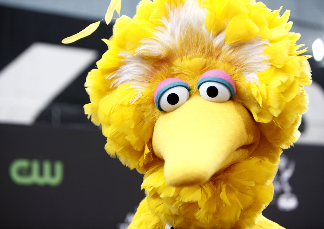 Big Bird, of the children's television show Sesame Street, in Los Angeles.