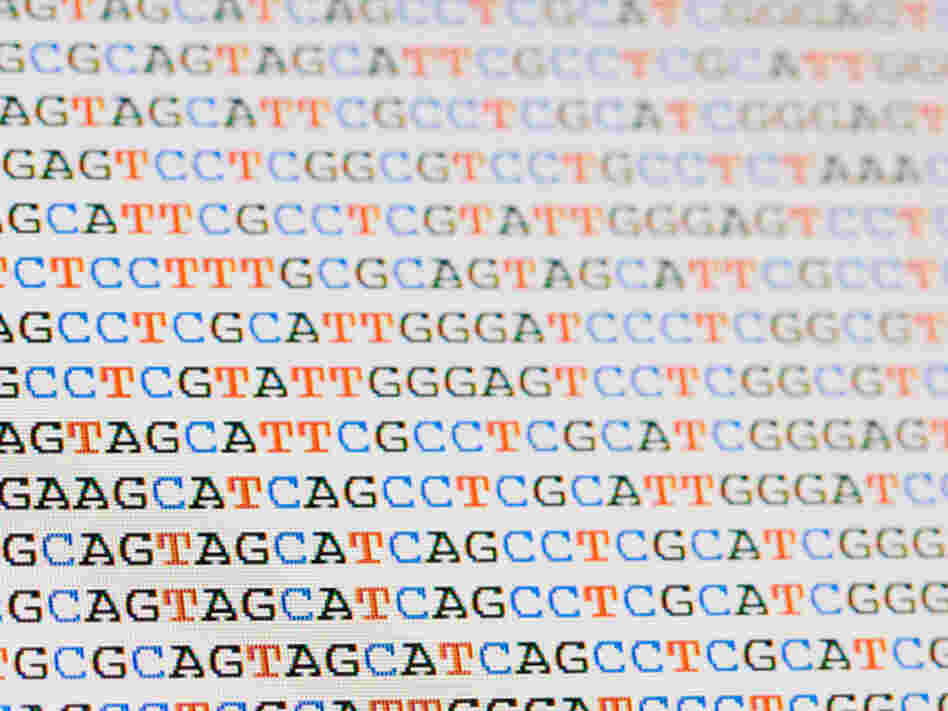 Each strand of DNA is written in a simple language composed of four letters: A, T, C and G.