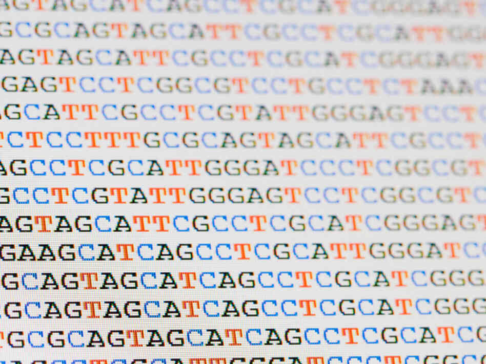 Each strand of DNA is written in a simple language composed of four letters: A, T, C and G.