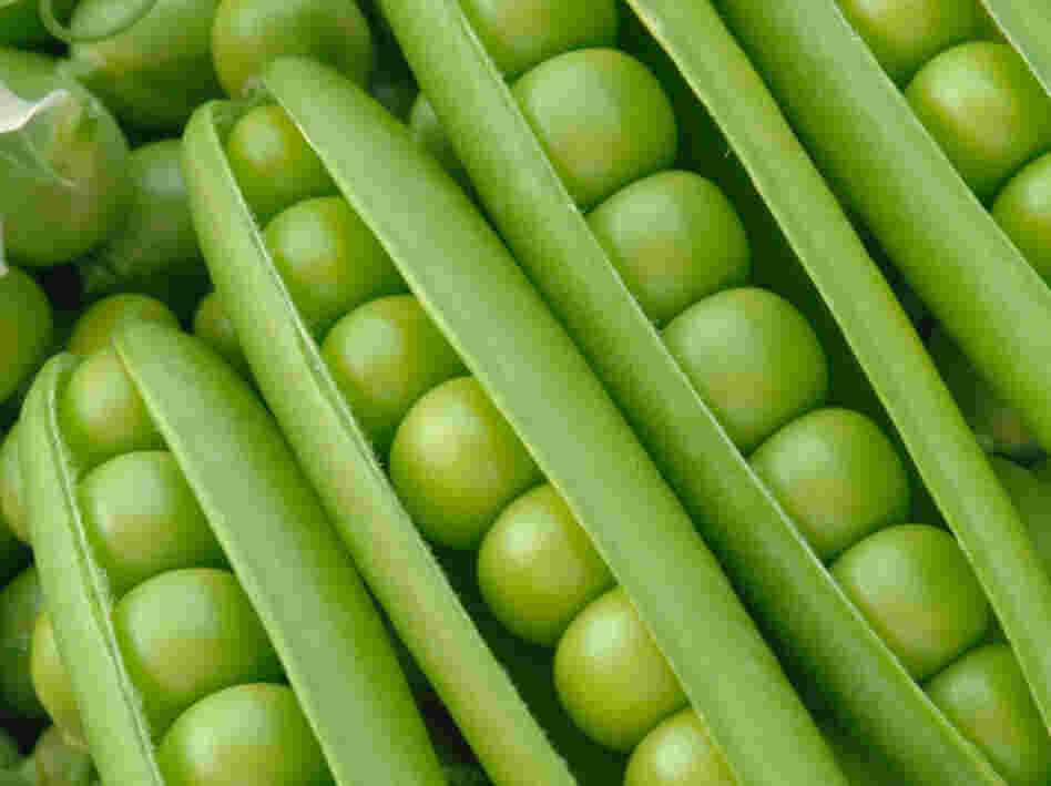 Peas Peas