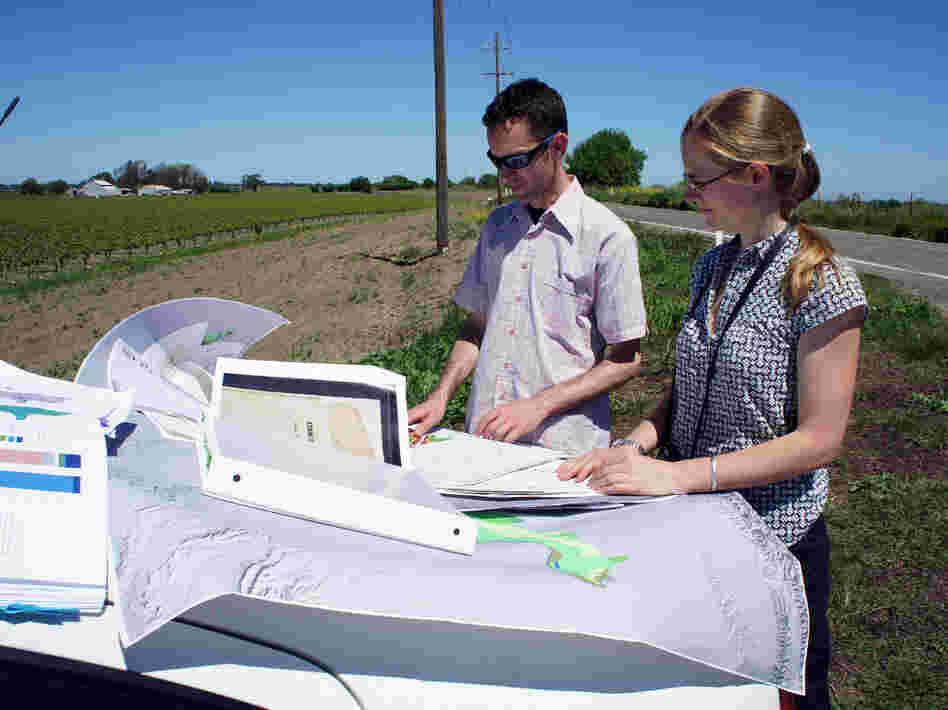 Historical ecologists Alison Whipple and Robin Grossinger study maps in California's delta, just east of San Francisco Bay.