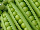 Peas Peas