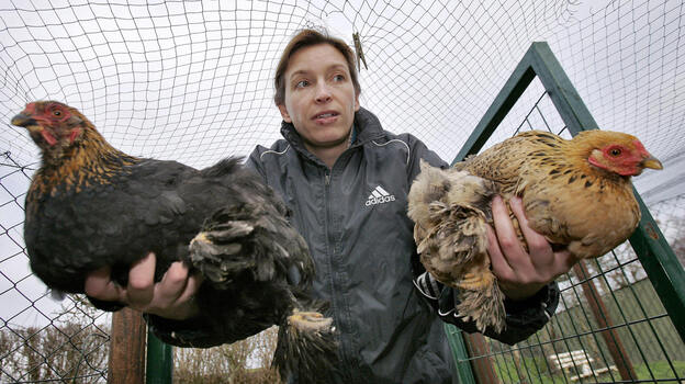 When a case of the potentially lethal H5N1 bird flu was found in British poultry in 2007, Dutch farmers were told to keep their poultry away from wild birds by closing off outdoor areas with wire mesh.