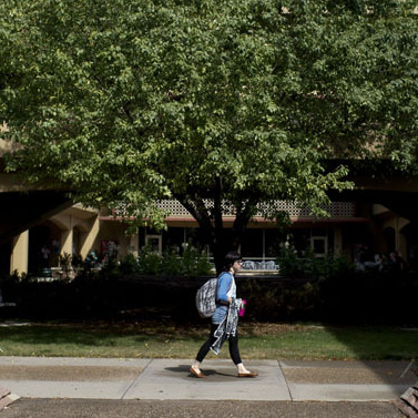 A student walks through the quad at Colorado State University in Fort Collins.