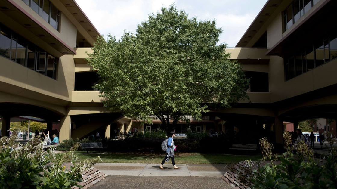 A student walks through the quad at Colorado State University in Fort Collins.