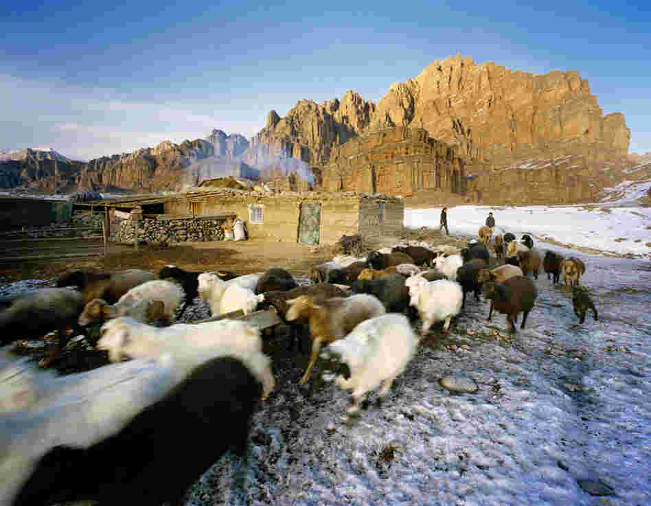 Some relatives of the Kuruman family stay in the same mud-and-thatch house throughout the year. For a regular Kyrgyz family in the region, Takayama explains, aging parents will descend from the mountains and move to a more permanent village home, while their children continue the nomadic way of life.