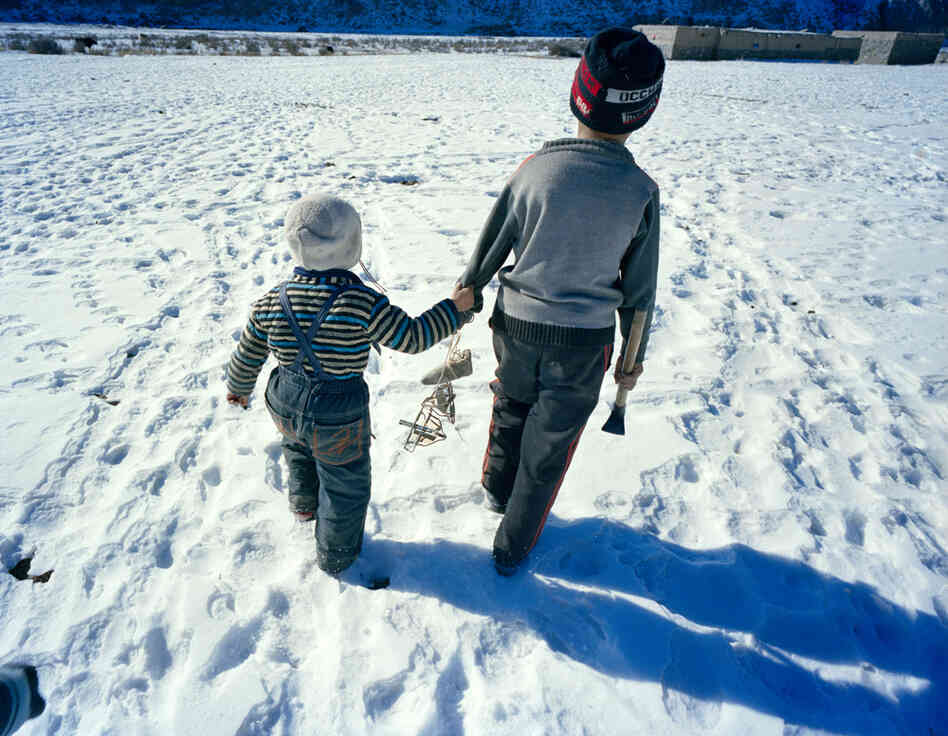 Daniel, the oldest son of Arima (the second daughter of the Kuruman family), and his younger brother walk back home after setting up a bird trap on a hill in their mountain home.