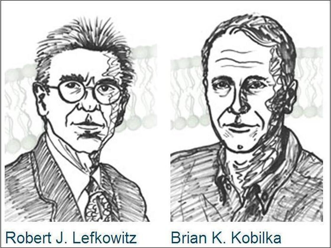 This year's winners of the Chemistry Nobel: Robert Lefkowitz (left) and Brian Kobilka.
